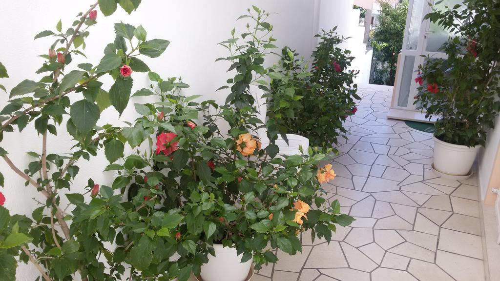 Apartments & Rooms Anita Хвар Екстер'єр фото