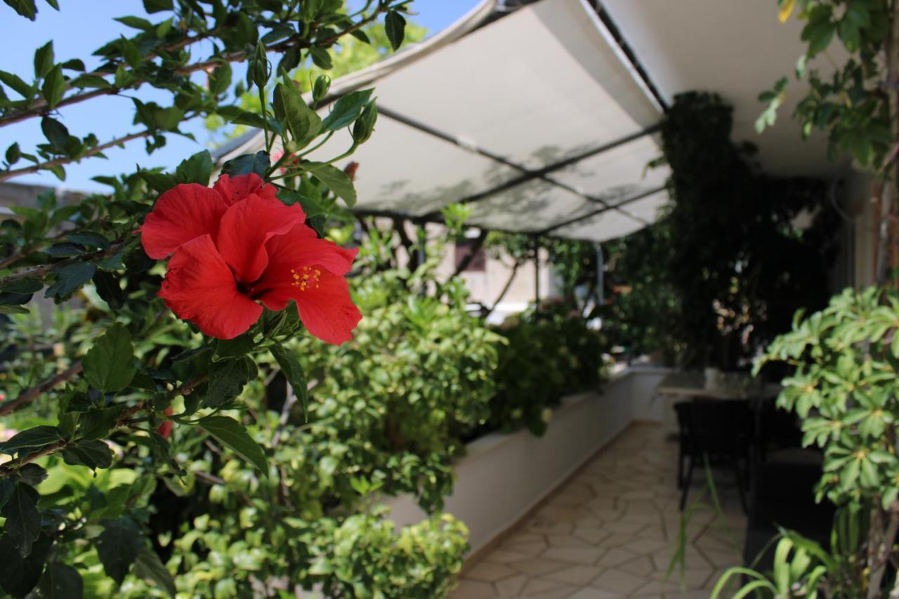 Apartments & Rooms Anita Хвар Екстер'єр фото